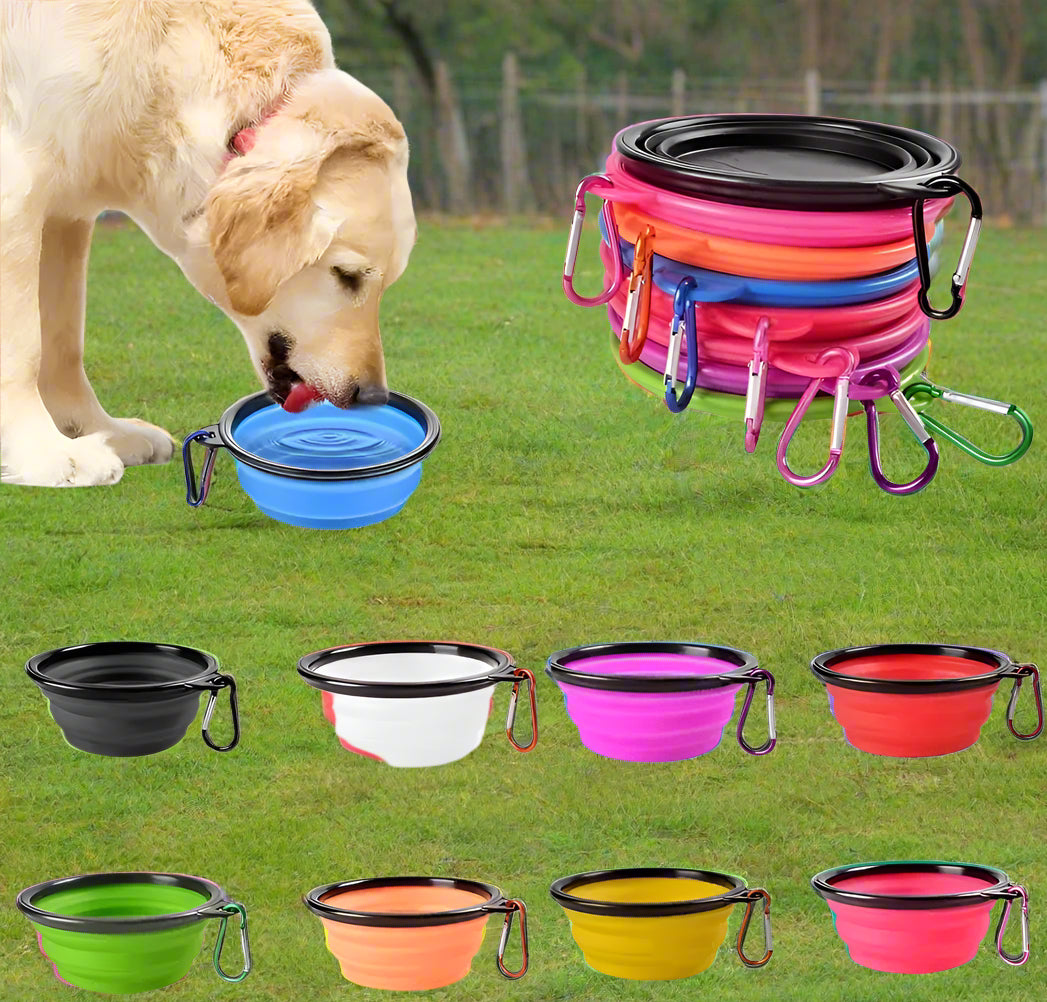 Foldable Silicone Pet Feed Bowl